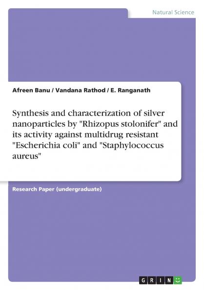 Synthesis and characterization of silver nanoparticles by Rhizopus stolonifer and its activity against multidrug resistant Escherichia coli and Staphylococcus aureus