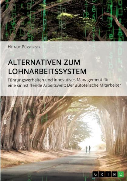 Alternativen zum Lohnarbeitssystem. Führungsverhalten und innovatives Management für eine sinnstiftende Arbeitswelt