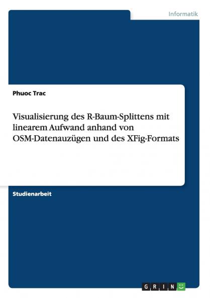 Visualisierung des R-Baum-Splittens mit linearem Aufwand anhand von OSM-Datenauzügen und des XFig-Formats