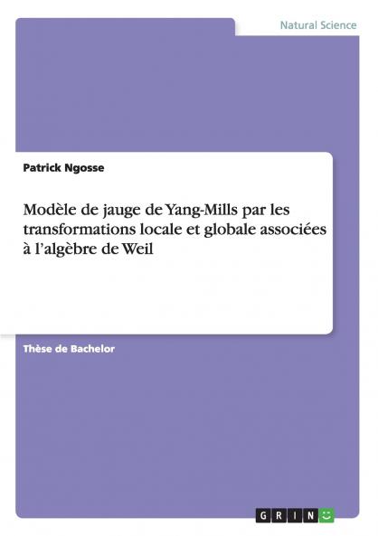 Modèle de jauge de Yang-Mills par les transformations locale et globale associées à l'algèbre de Weil