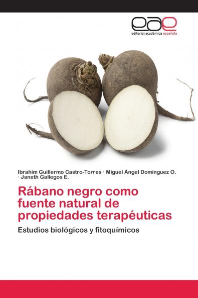 Rábano negro como fuente natural de propiedades terapéuticas