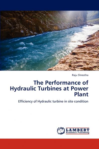 The Performance of Hydraulic Turbines at Power Plant