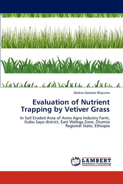 Evaluation of Nutrient Trapping by Vetiver Grass