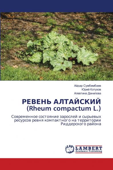 РЕВЕНЬ АЛТАЙСКИЙ (Rheum compactum L.)