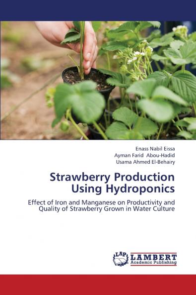 Strawberry Production Using Hydroponics