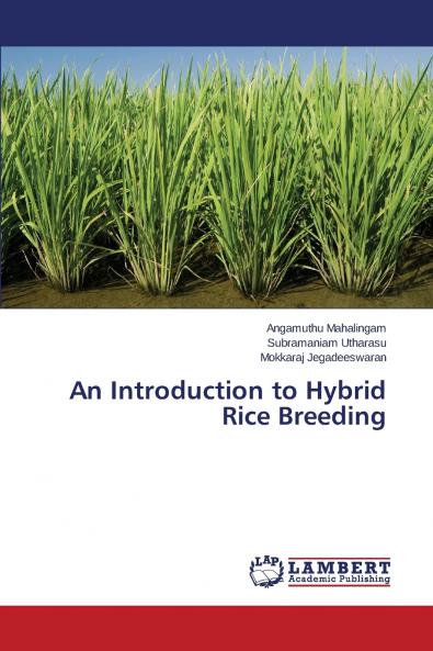 An Introduction to Hybrid Rice Breeding
