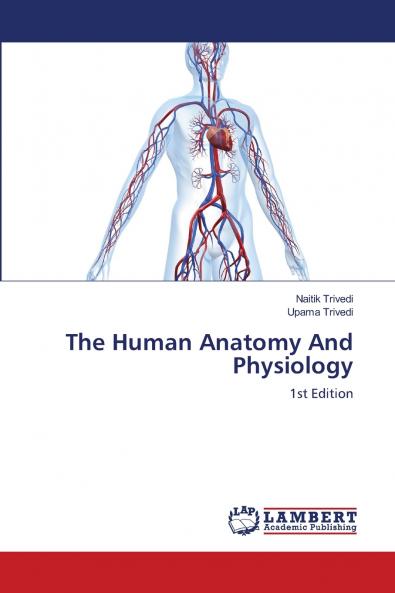 The Human Anatomy And Physiology