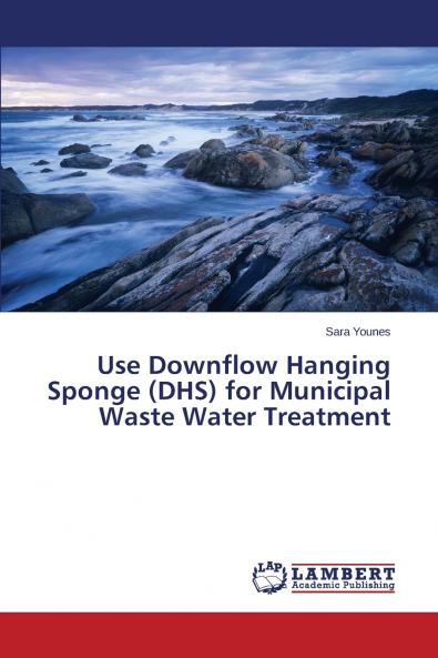 Use Downflow Hanging Sponge (DHS) for Municipal Waste Water Treatment