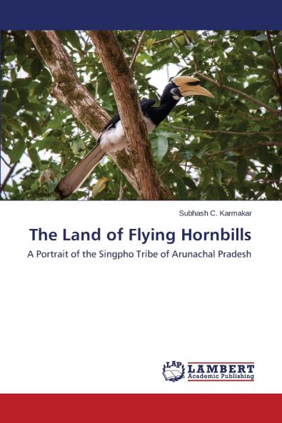 The Land of Flying Hornbills
