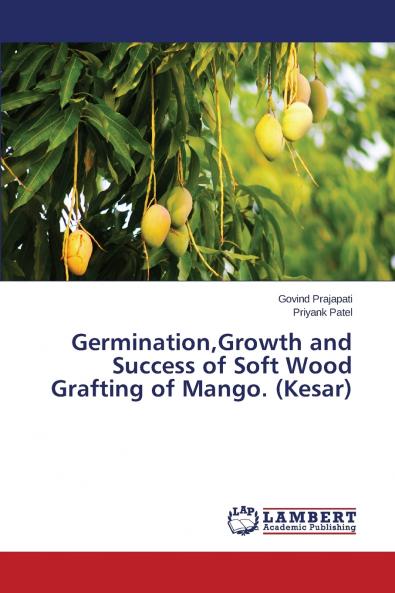 GerminationGrowth and Success of Soft Wood Grafting of Mango. (Kesar)