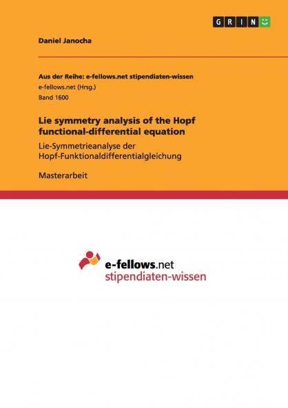 Lie symmetry analysis of the Hopf functional-differential equation