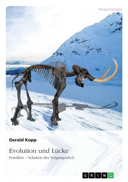 Evolution und Lücke