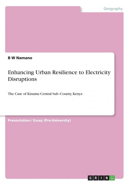 Enhancing Urban Resilience to Electricity Disruptions