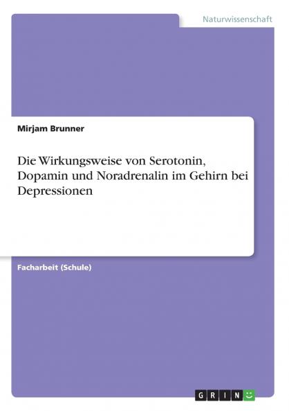 Die Wirkungsweise von Serotonin Dopamin und Noradrenalin im Gehirn bei Depressionen