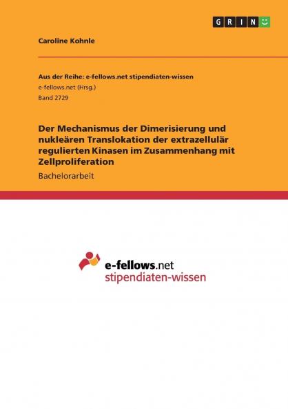 Der Mechanismus der Dimerisierung und nukleären Translokation der extrazellulär regulierten Kinasen im Zusammenhang mit Zellproliferation