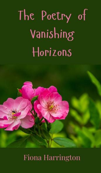 The Poetry of Vanishing Horizons