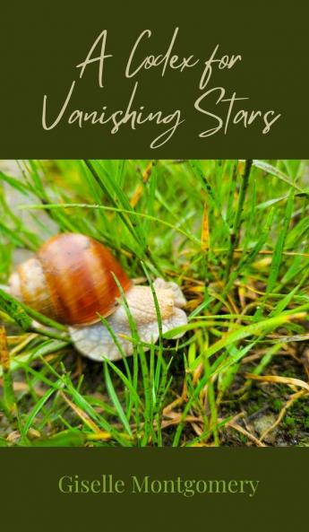 A Codex for Vanishing Stars