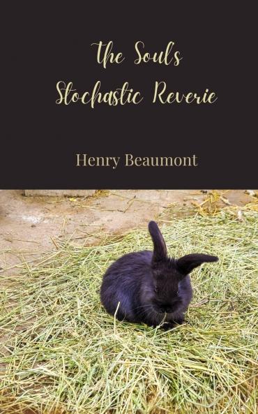 The Soul's Stochastic Reverie