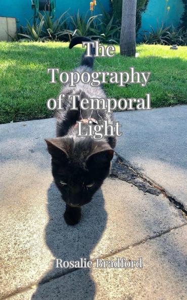 The Topography of Temporal Light