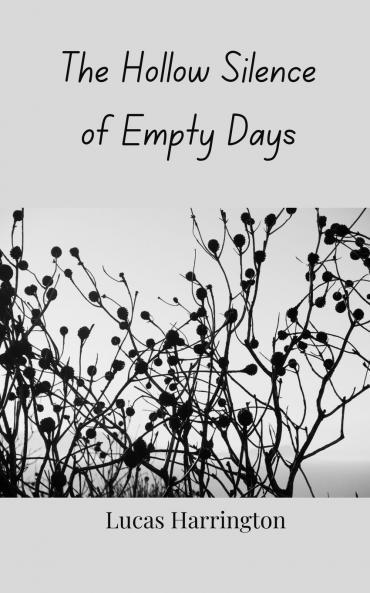 The Hollow Silence of Empty Days