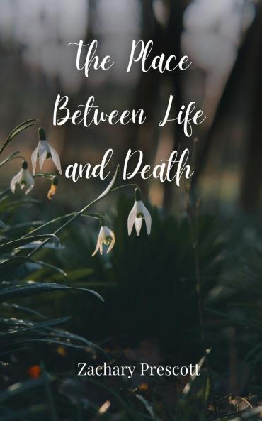 The Place Between Life and Death