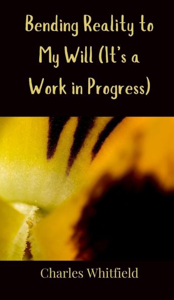 Bending Reality to My Will (It's a Work in Progress)