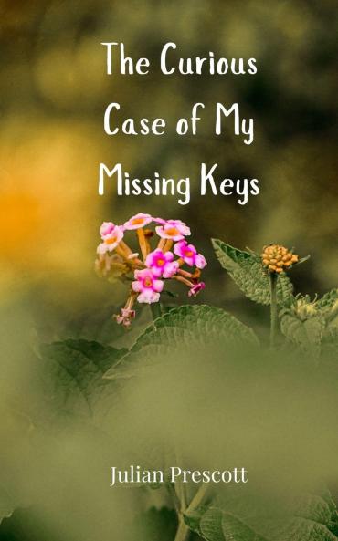 The Curious Case of My Missing Keys