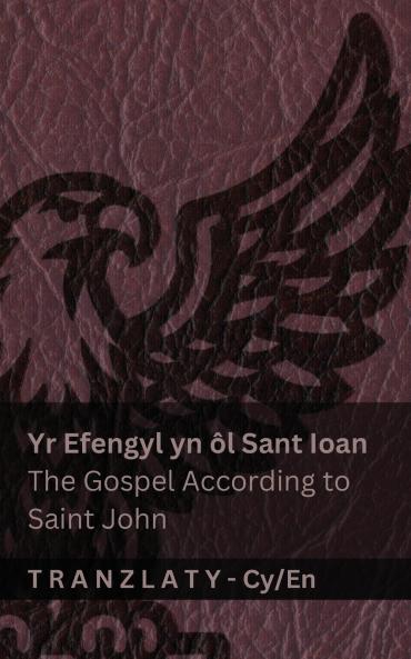 Yr Efengyl yn ôl Sant Ioan / The Gospel According to Saint John (Y Beibl / The Bible)