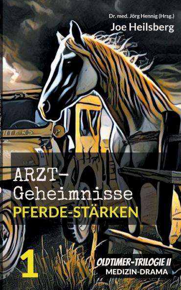 Arztgeheimnisse (Oldtimer-Trilogie II)