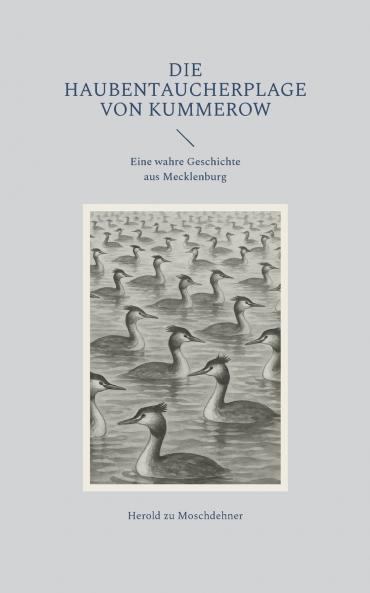 Die Haubentaucherplage von Kummerow