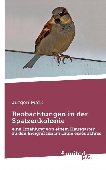 Beobachtungen in der Spatzenkolonie