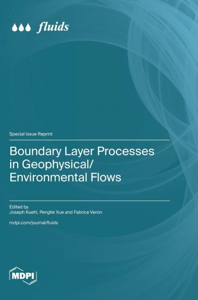 Boundary Layer Processes in Geophysical/Environmental Flows