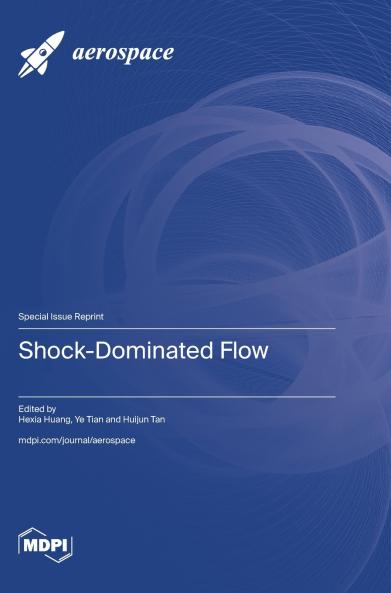 Shock-Dominated Flow