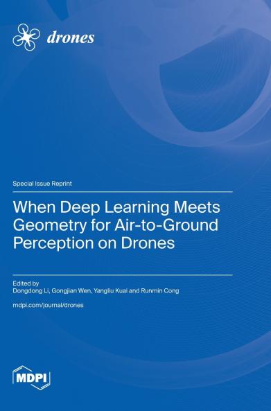 When Deep Learning Meets Geometry for Air-to-Ground Perception on Drones