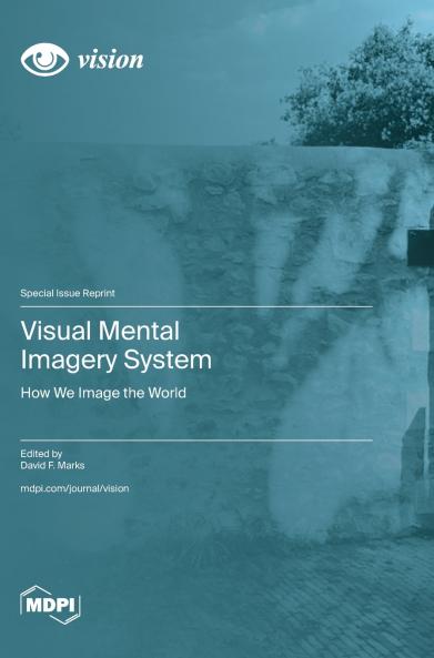 Visual Mental Imagery System