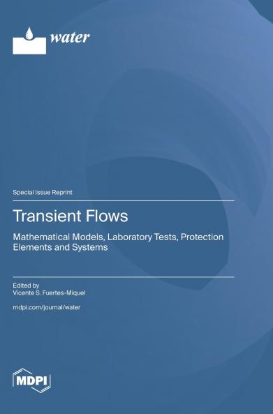 Transient Flows