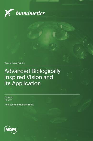 Advanced Biologically Inspired Vision and Its Application