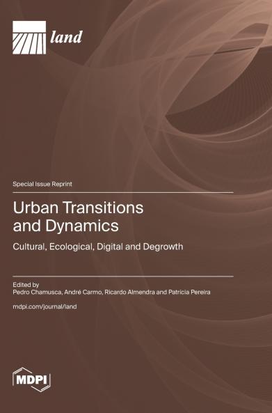 Urban Transitions and Dynamics