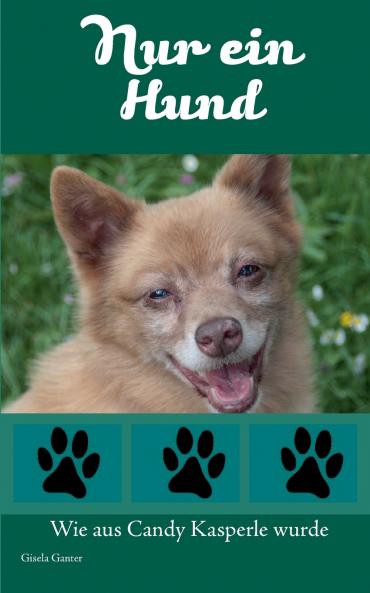 Nur ein Hund