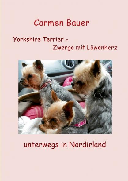 Yorkshire Terrier - Zwerge mit Löwenherz unterwegs in Nordirland