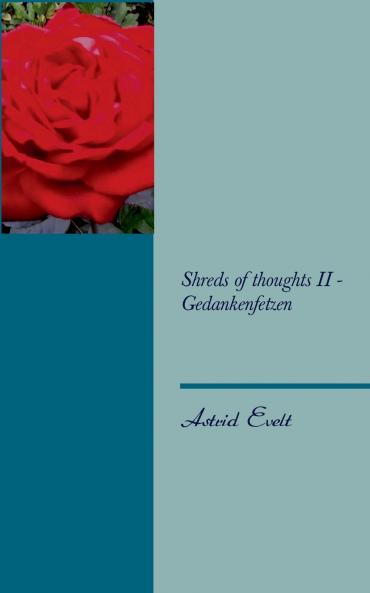 Shreds of thoughts II - Gedankenfetzen