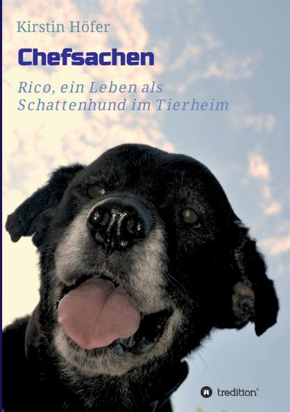 Chefsachen