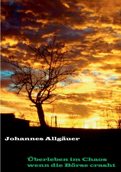 Überleben im Chaos wenn die Börse crasht