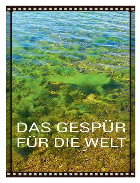 Das Gespür für die Welt