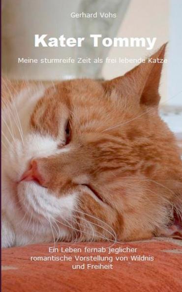 Kater Tommy
