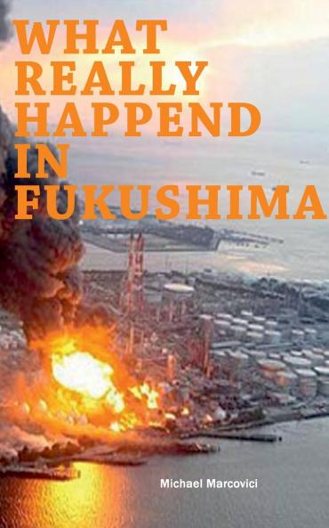 What really happened in Fukushima