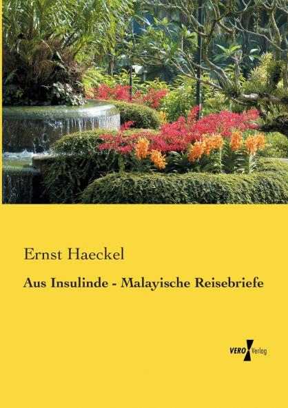 Aus Insulinde - Malayische Reisebriefe