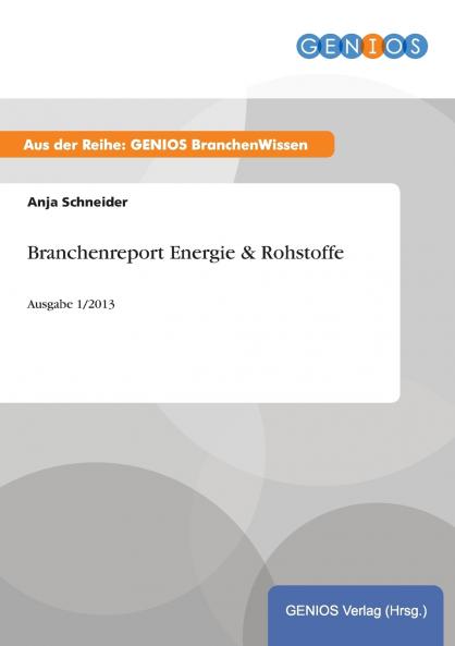 Branchenreport Energie & Rohstoffe