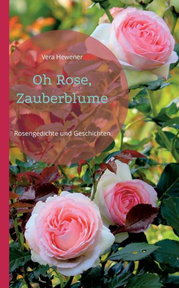 Oh Rose Zauberblume