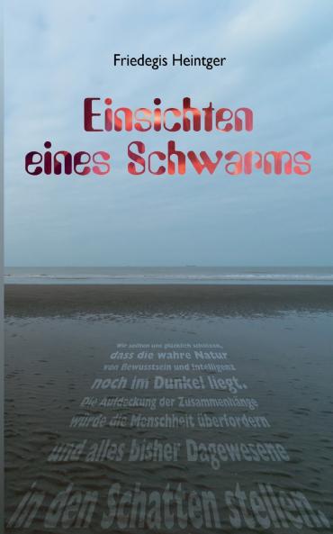 Einsichten eines Schwarms